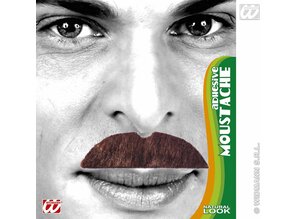 Carnival-accessories: Mustaches different