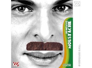 Carnival-accessories: Mustaches different
