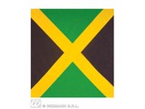 Carnival-supplies: Bandana / Handkerchief Jamaica 55x55 cm