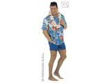 Carnival-costumes: Hawaii shirt