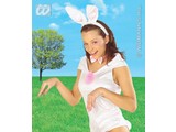 Carnival-accessory: Bunny set