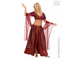 Carnival-costumes: Belly-dancer