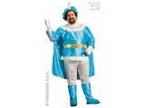 Carnival-costumes: blue prince