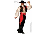 Carnival-costumes: Flamenco dancer