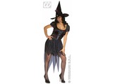 Carnival-costumes: witch Morgana