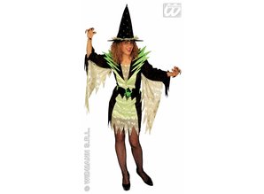 Carnival-costumes: Super witch
