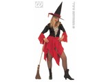 Carnival-costumes: nasty witch