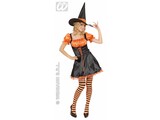 Carnival-costumes: witch satin