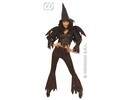 Carnival-costumes: Wild witch