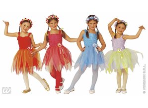 Carnival-costumes: Children:  Ballerina Fairy