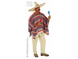 Carnival-costumes:  Mexican poncho