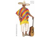 Carnival-costumes: Mexican Poncho multi-colour for adults