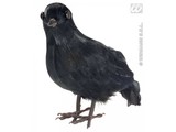 Theme-parties:  decorative crow