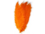 Orange-articles:  feathers spadonic orange