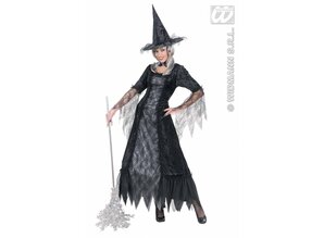 Carnival-costumes:  Cobweb Witch