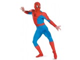 Carnival-costumes:  Spiderman (Musculed)