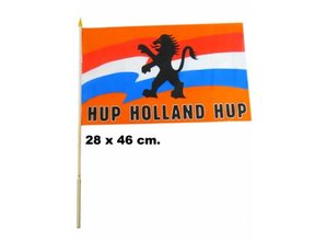 footbalParty-:  orange flags