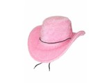 Party-- & Carnival-accessories: Cowboy-Hat hairy pink