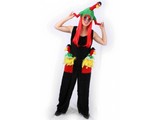 Carnival-costumes:  Dungaree Crazy bird