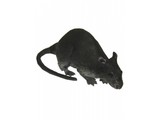 Horror-accessories:  Jumbo rat