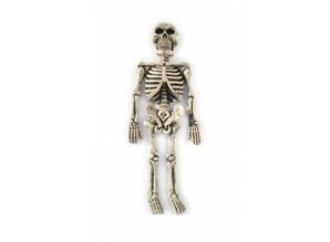 Horror-accessories:  Pending Skeleton