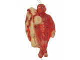 Scaryaccessories:  Skinless body