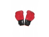Carnival-accessories:  boxing-Gloves
