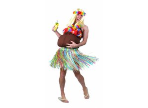 Carnival-costumes:  Hawaiian balletdancer