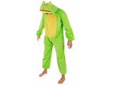 Party-costume: Frog