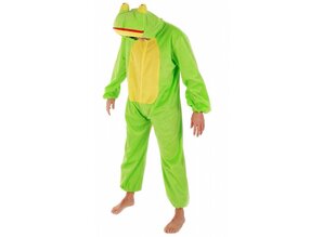 Party-costume: Frog