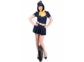 Carnival-costumes: stewardess