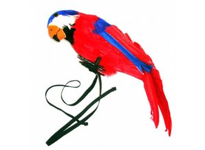 Carnivalaccessories: Parrot
