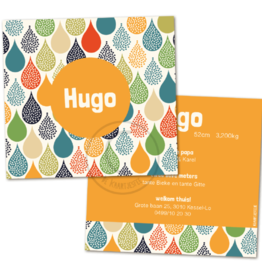 Geboortekaartje Hugo