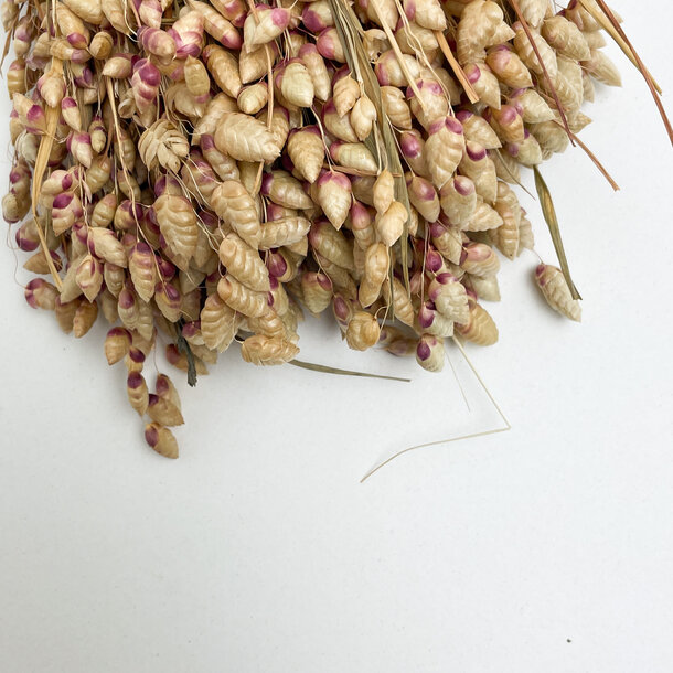 Briza naturel