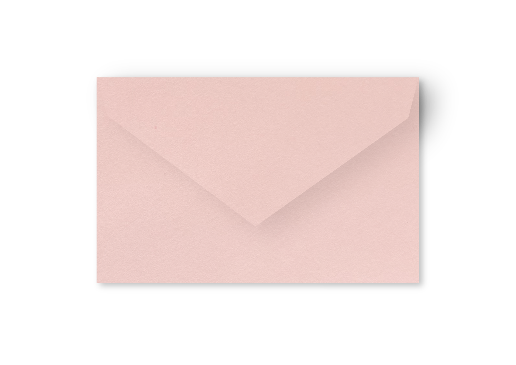 Enveloppe lichtroos - grote postkaart-1