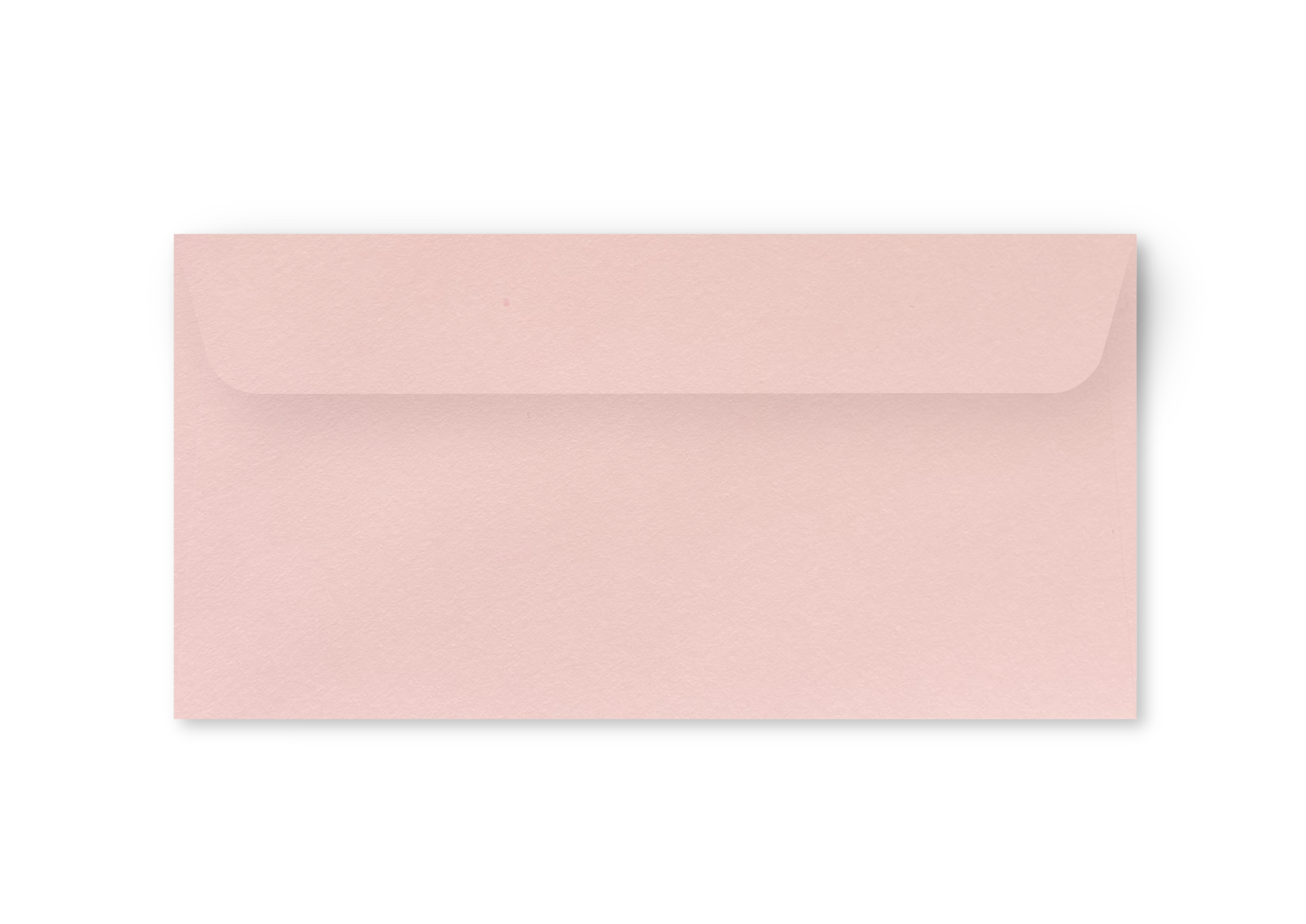 Enveloppe lichtroos - US formaat-1