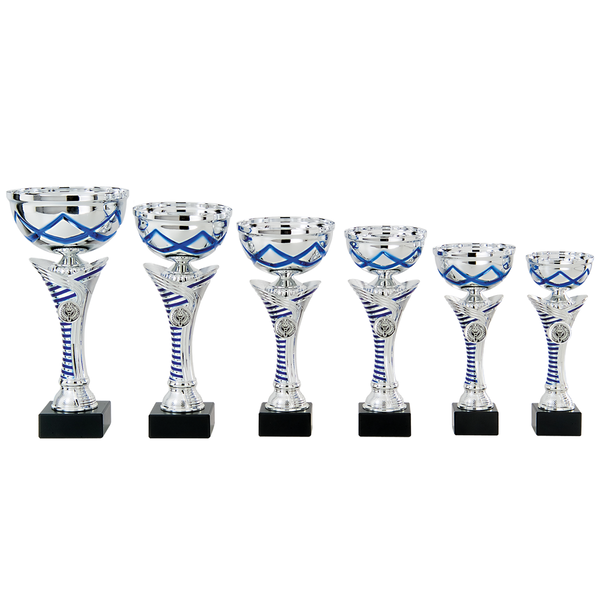 Sportprijs Wervershoof zilver-blauw