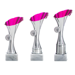 Trofee Dirkshorn zilver-roze