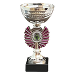 Sportprijs Hoogkarspel zilver-roze Sportprijs Hoogkarspel zilver-roze