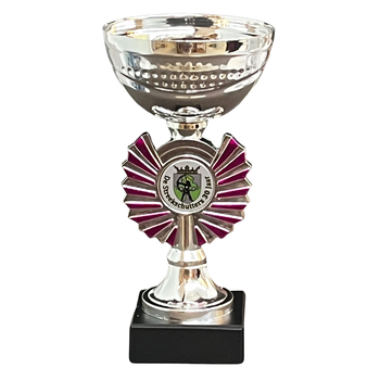 Sportprijs Hoogkarspel zilver-roze