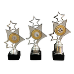 Standaard Scharwoude zilver