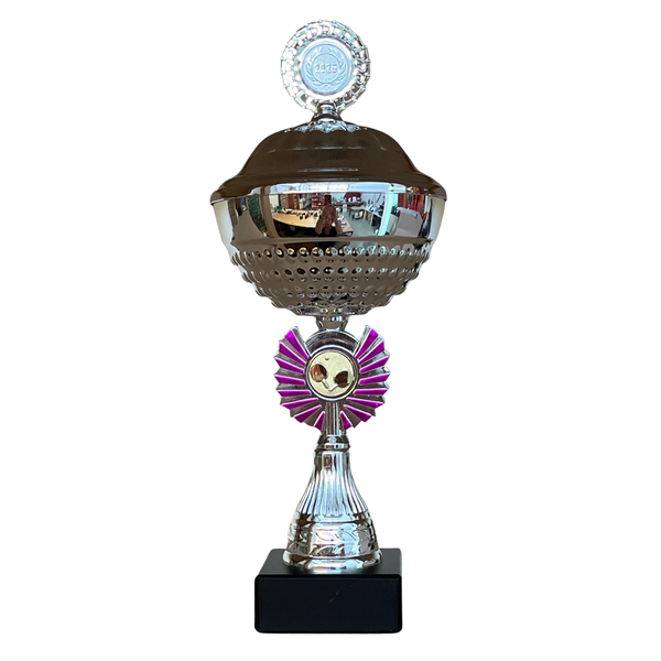 Sportprijs Medemblik zilver-roze