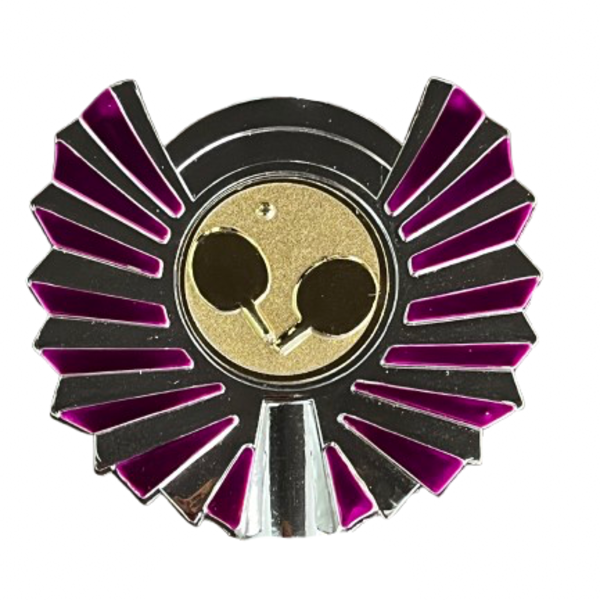 Sportprijs Medemblik zilver-roze