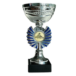 Sportprijs Andijk zilver-blauw