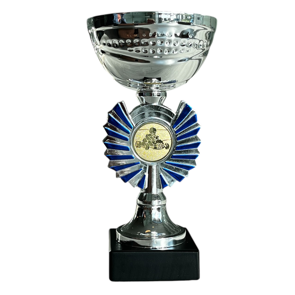 Sportprijs Andijk zilver-blauw