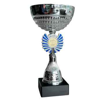 Sportprijs Hoorn zilver-blauw