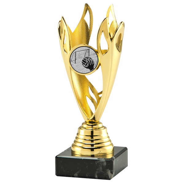 Sportprijs Volendam in het goud, zilver of brons