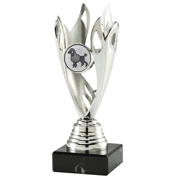 Sportprijs Volendam in het goud, zilver of brons