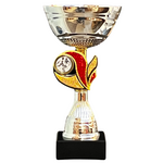 Sportprijs Berkhout zilver-rood/goud