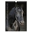 Lannoo Calendrier d'anniversaire des chevaux